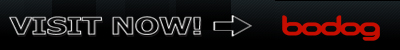 Bodog Poker - US-Friendly Poker Site